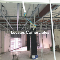locales comerciales